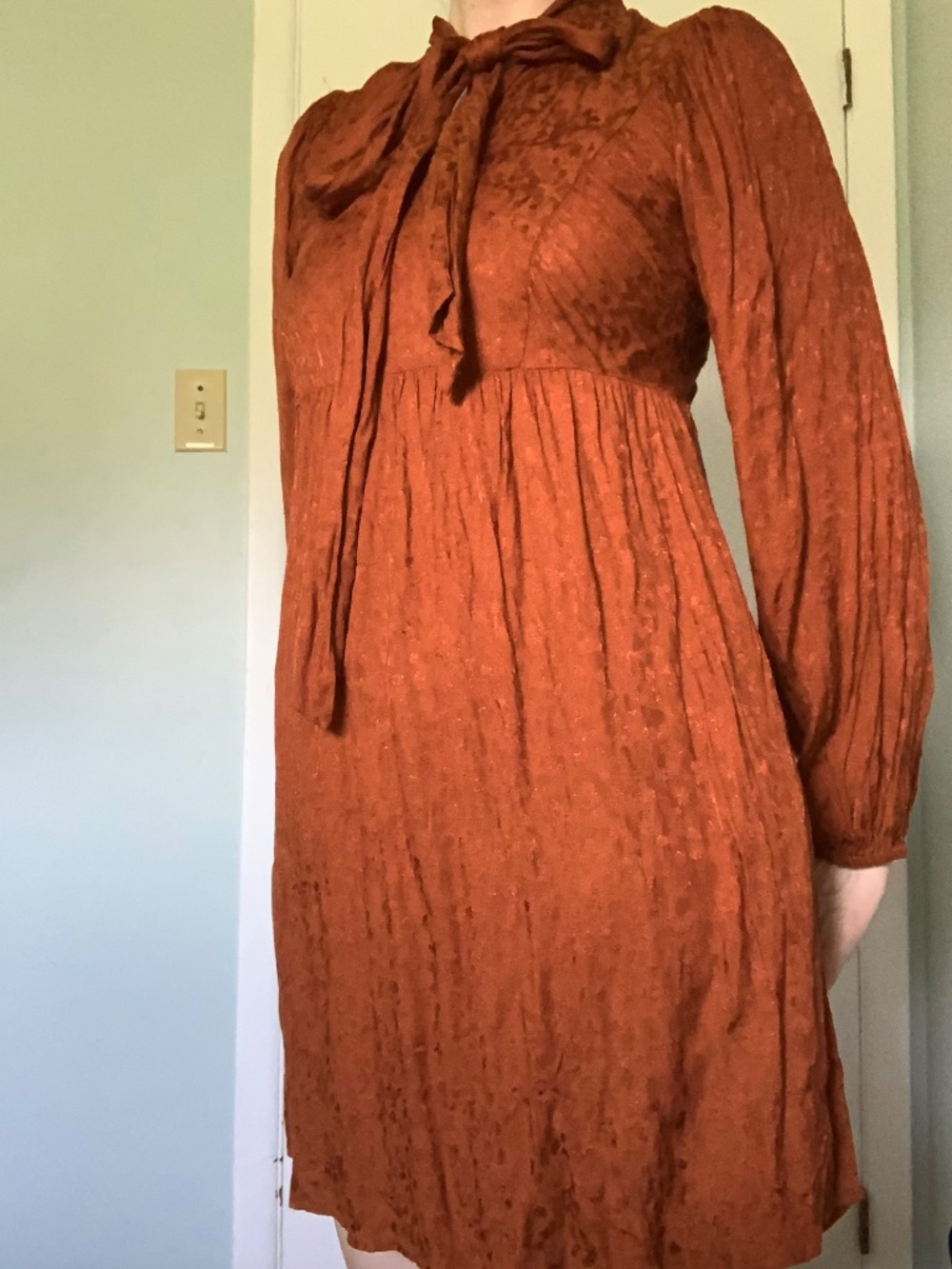 Acorn Brown dress - Picture 2 of 9